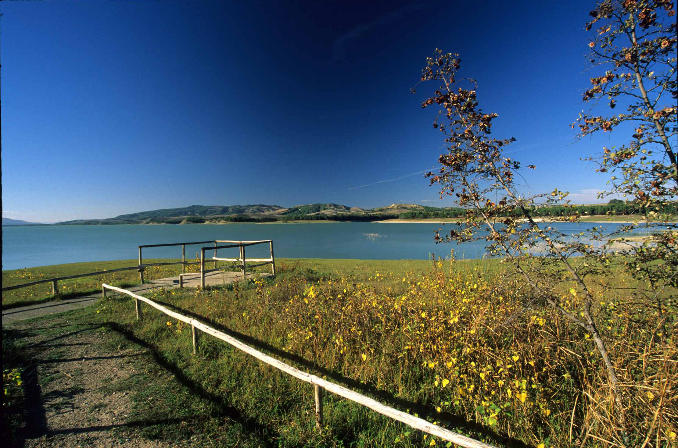 Oasi WWF di Policoro – Herakleia (Bosco Pantano)